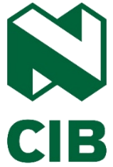 Nedbank CIB